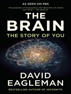 the brain with dr david eagleman